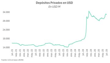En medio del salto del dólar de julio, crecieron los préstamos y depósitos en moneda extranjera