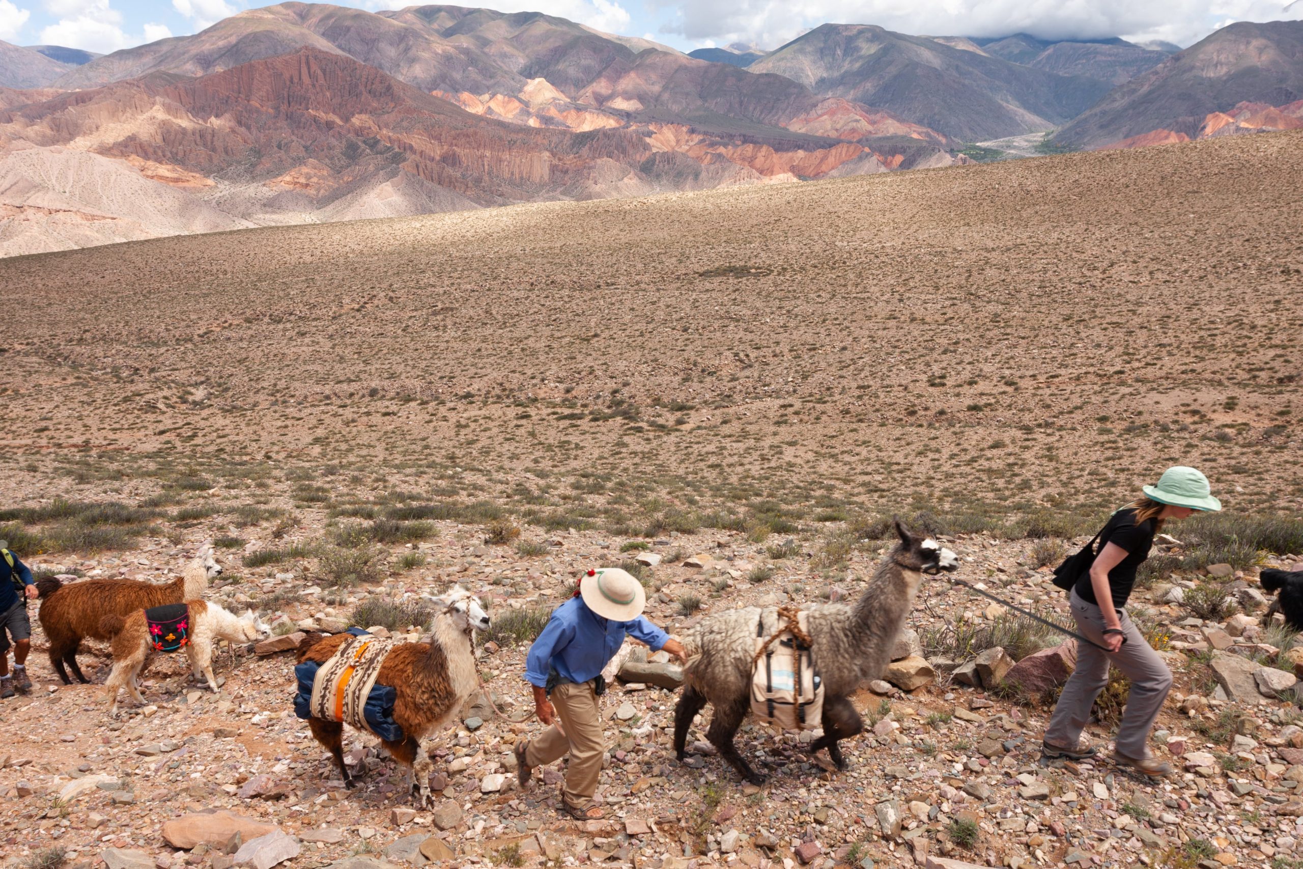El trekking por los cerros con las llamas