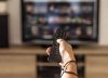 Si necesitas renovar el mando de tu TV, este sirve para el 90% de los televisores y cuesta menos de 12 euros