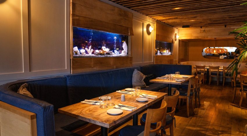 Del mar al plato: seis restaurantes que revalorizan el pescado argentino