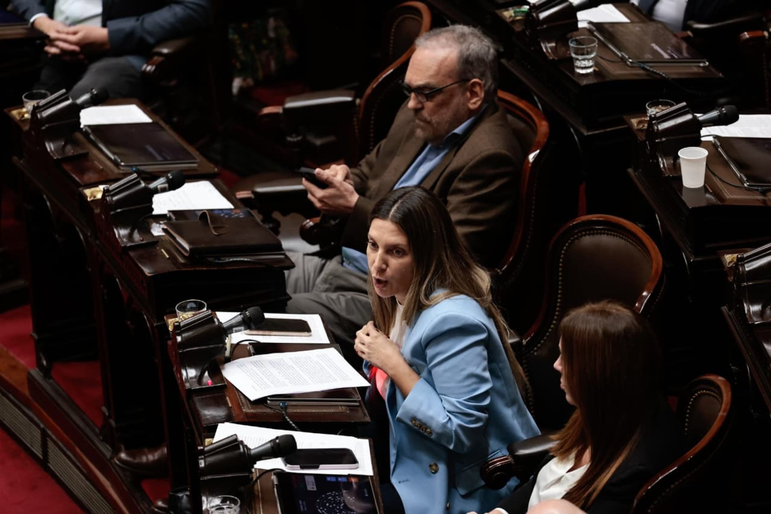 Silvia Lospennato, la rebelde de Pro que enfureció a Cristian Ritondo por su rechazo a los vetos de Milei