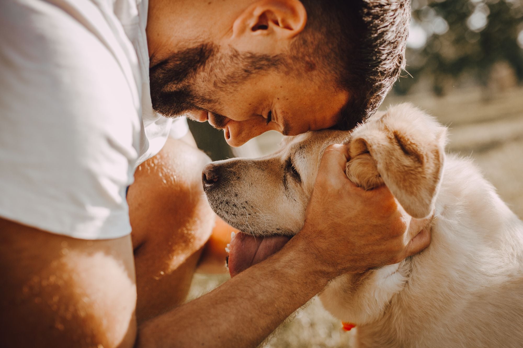 Son varias las señales que evidencian que la mascota reconoce que un humano se va