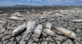 De las inundaciones a la sequía: la ONU advierte de que el ciclo del agua es cada vez más extremo