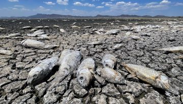 De las inundaciones a la sequía: la ONU advierte de que el ciclo del agua es cada vez más extremo