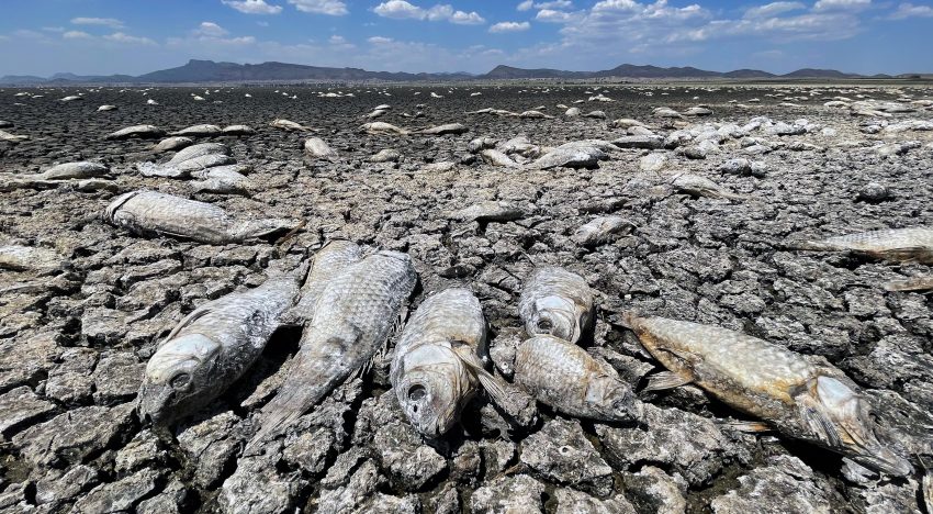De las inundaciones a la sequía: la ONU advierte de que el ciclo del agua es cada vez más extremo