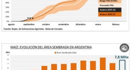 La cosecha de maíz finalizó con 49 millones de toneladas y avanza la siembra de la próxima campaña