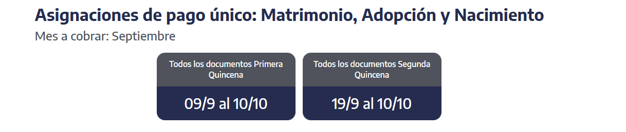 Cuándo se cobran las asignaciones de pago único en septiembre (Captura: ANSES)