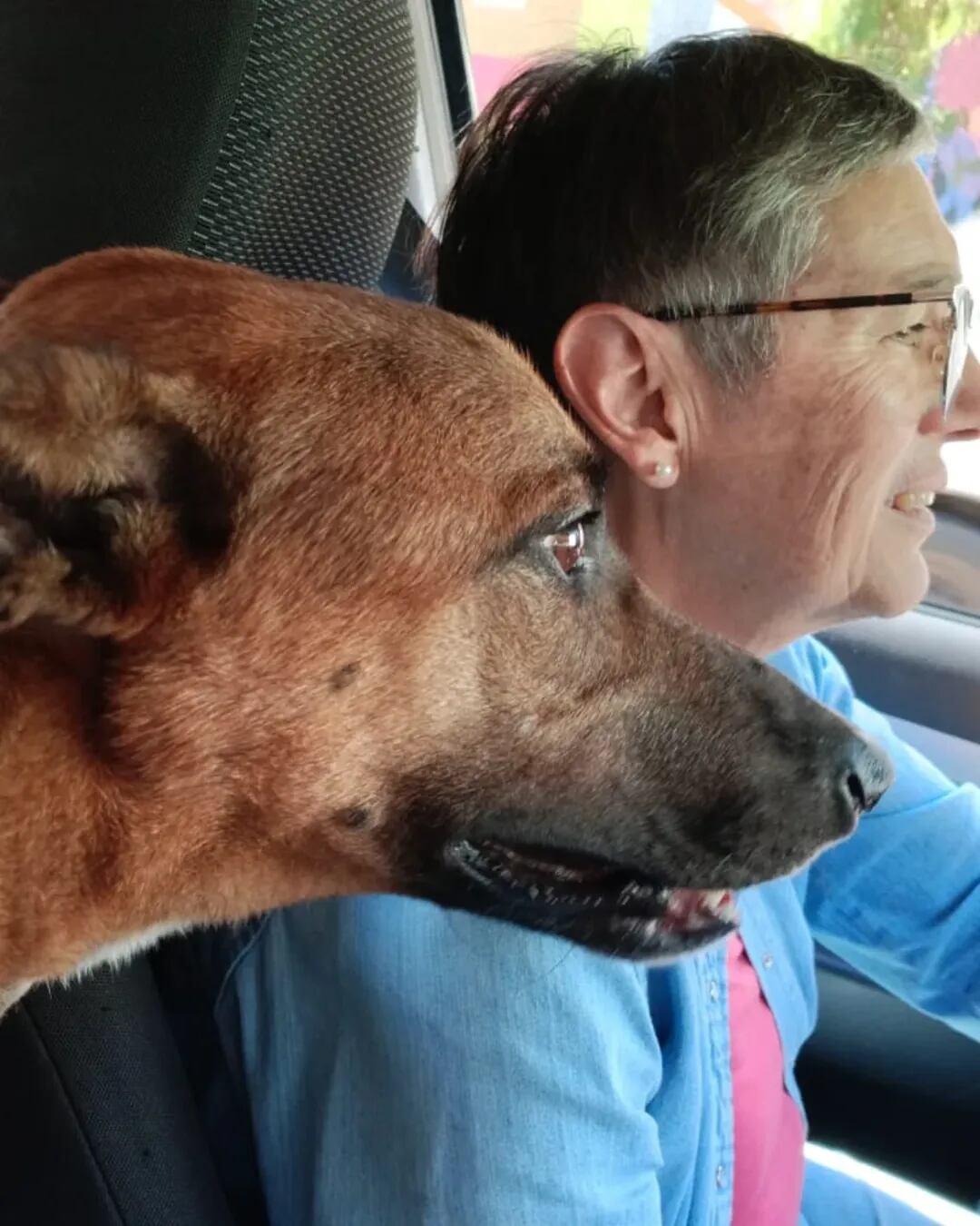 Carlitos, rumbo al lugar en tránsito donde fue alojado por 15 días.