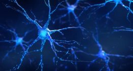 Hacer ejercicio ayuda a borrar los malos recuerdos, según la ciencia