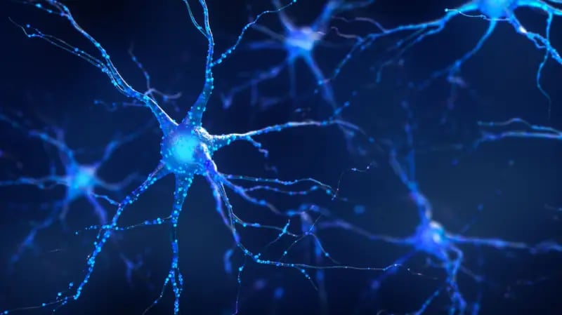 Hacer ejercicio ayuda a borrar los malos recuerdos, según la ciencia