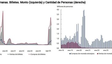 La demanda privada de dólares fue de US$3188 millones y hubo récord de compras minoristas