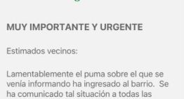 Alerta por un puma suelto en Pilar: entró a un country y hay miedo entre los vecinos
