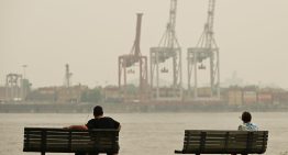 Una investigación revela cómo la contaminación puede desencadenar cambios dañinos en el cerebro que llevan a la neurodegeneración