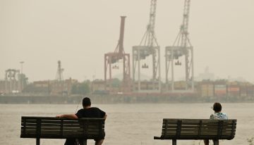 Una investigación revela cómo la contaminación puede desencadenar cambios dañinos en el cerebro que llevan a la neurodegeneración