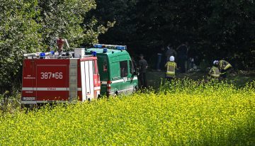 La OTAN intercepta tres cazas rusos en Estonia y Polonia detecta otros dos en el Báltico