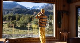 Eligieron un bosque quemado para darle vida a un lodge de lujo