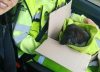 La rescataron en Panamericana y aunque encontraron a su familia, el desenlace fue inesperado: “Fue un acto de amor”