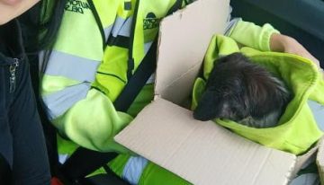La rescataron en Panamericana y aunque encontraron a su familia, el desenlace fue inesperado: “Fue un acto de amor”