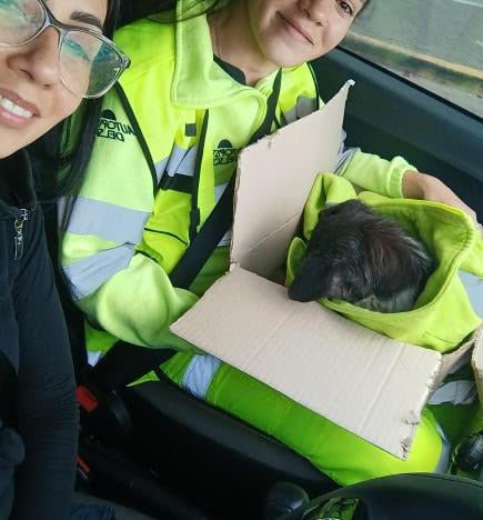 La rescataron en Panamericana y aunque encontraron a su familia, el desenlace fue inesperado: “Fue un acto de amor”