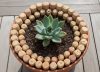 Por qué recomiendan poner corchos en la tierra de las plantas
