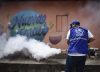 Dos de los mosquitos más dañinos han salido reforzados de su relación con los humanos