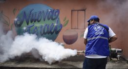 Dos de los mosquitos más dañinos han salido reforzados de su relación con los humanos