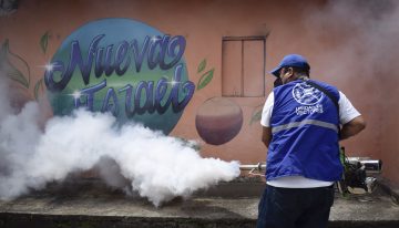Dos de los mosquitos más dañinos han salido reforzados de su relación con los humanos