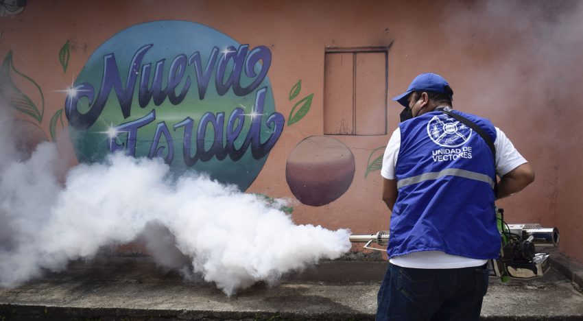 Dos de los mosquitos más dañinos han salido reforzados de su relación con los humanos