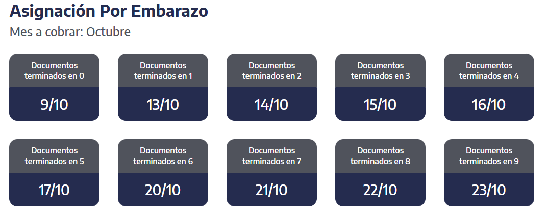 Cuándo se cobra la AUE en octubre (Captura: ANSES)