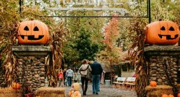 Halloween 2025: los diez disfraces icónicos de celebridades que dieron de qué hablar Halloween 2025: los diez disfraces icónicos de celebridades que dieron de qué hablar