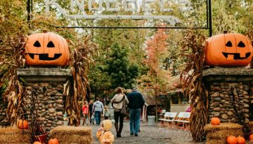 Halloween 2025: los diez disfraces icónicos de celebridades que dieron de qué hablar