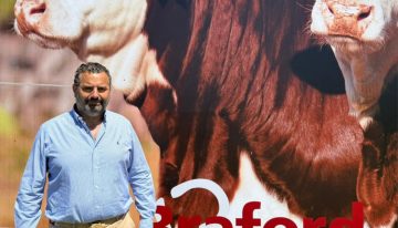 “Algo impensado hace 15 años”: la raza bovina que salió a conquistar todos los rincones del país