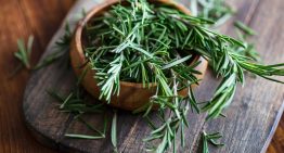 Dónde colocar hojas de romero en tu casa para atraer la abundancia, según el Feng Shui Dónde colocar hojas de romero en tu casa para atraer la abundancia, según el Feng Shui