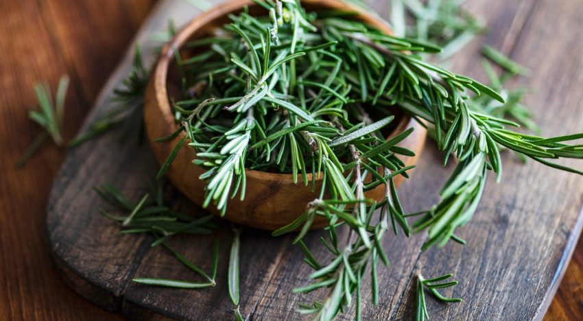 Dónde colocar hojas de romero en tu casa para atraer la abundancia, según el Feng Shui