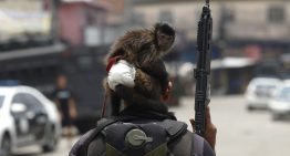 El megaoperativo en favelas de Río remarca el poder de fuego del narcotráfico y abre una dura lucha política El megaoperativo en favelas de Río remarca el poder de fuego del narcotráfico y abre una dura lucha política