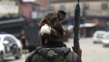 El megaoperativo en favelas de Río remarca el poder de fuego del narcotráfico y abre una dura lucha política