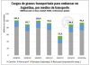Las retenciones cero impulsaron al comercio de granos y la cantidad transportada crecería un 6% interanual