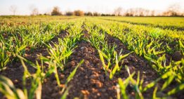 Productores e inmobiliarias rurales rechazan la ley de suelos en la provincia de Buenos Aires