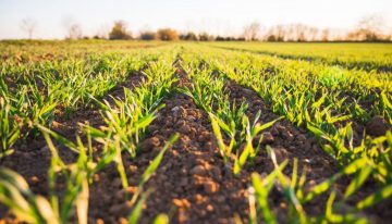Productores e inmobiliarias rurales rechazan la ley de suelos en la provincia de Buenos Aires
