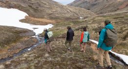 Más que tulipanes: bosques, lagos y cañadones en el valle patagónico que podría haber quedado en manos de Chile