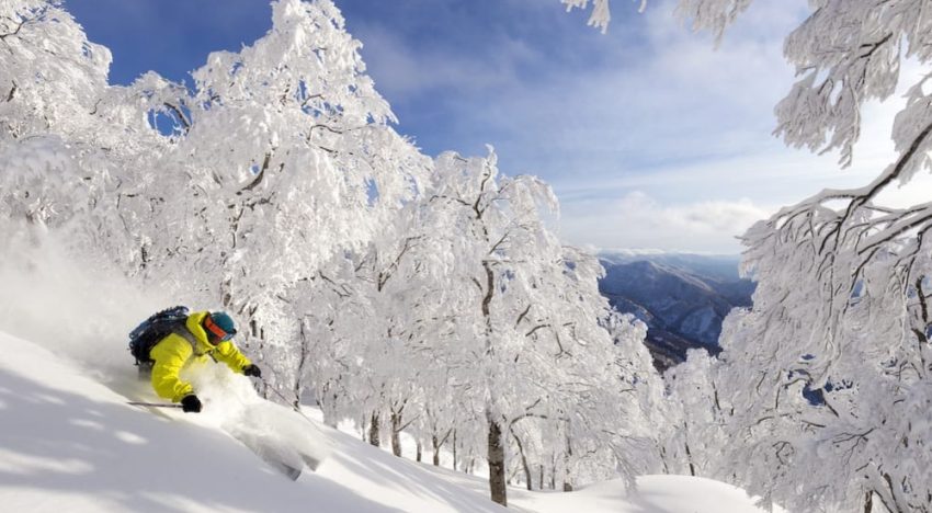 En Japón quedó sepultado en la nieve, vivió de milagro y enseñar le dio sentido: “El respeto en la escuela no se discute”