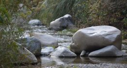 El castillo francés que se construyó, de manera impensable, en un terreno desértico: “Si lo logro, le vendo mi alma al diablo” El castillo francés que se construyó, de manera impensable, en un terreno desértico: “Si lo logro, le vendo mi alma al diablo”