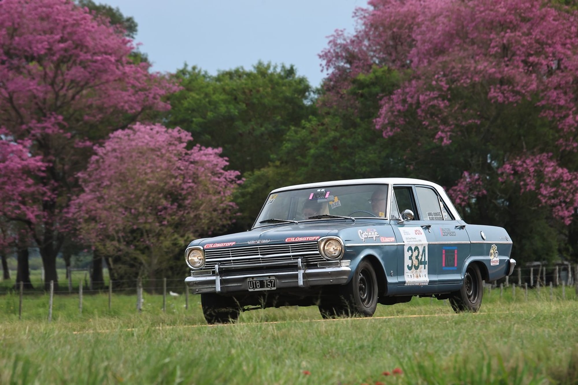 La inconfundible silueta de un modelo estadounidense, en una prolífica arboleda de Corrientes; Chevrolet tuvo 9 representantes en el gran premio.