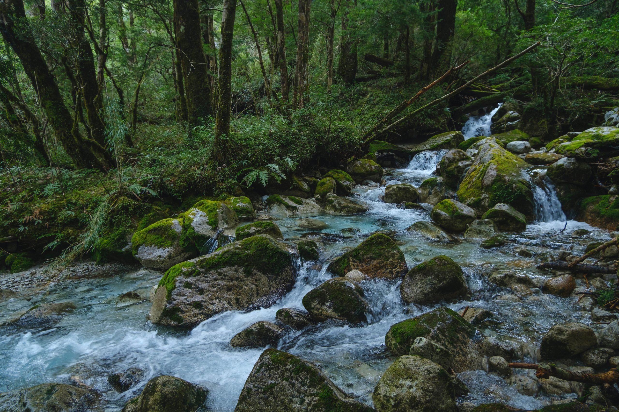 Ríos de aguas cristalinas en el valle Cochamó