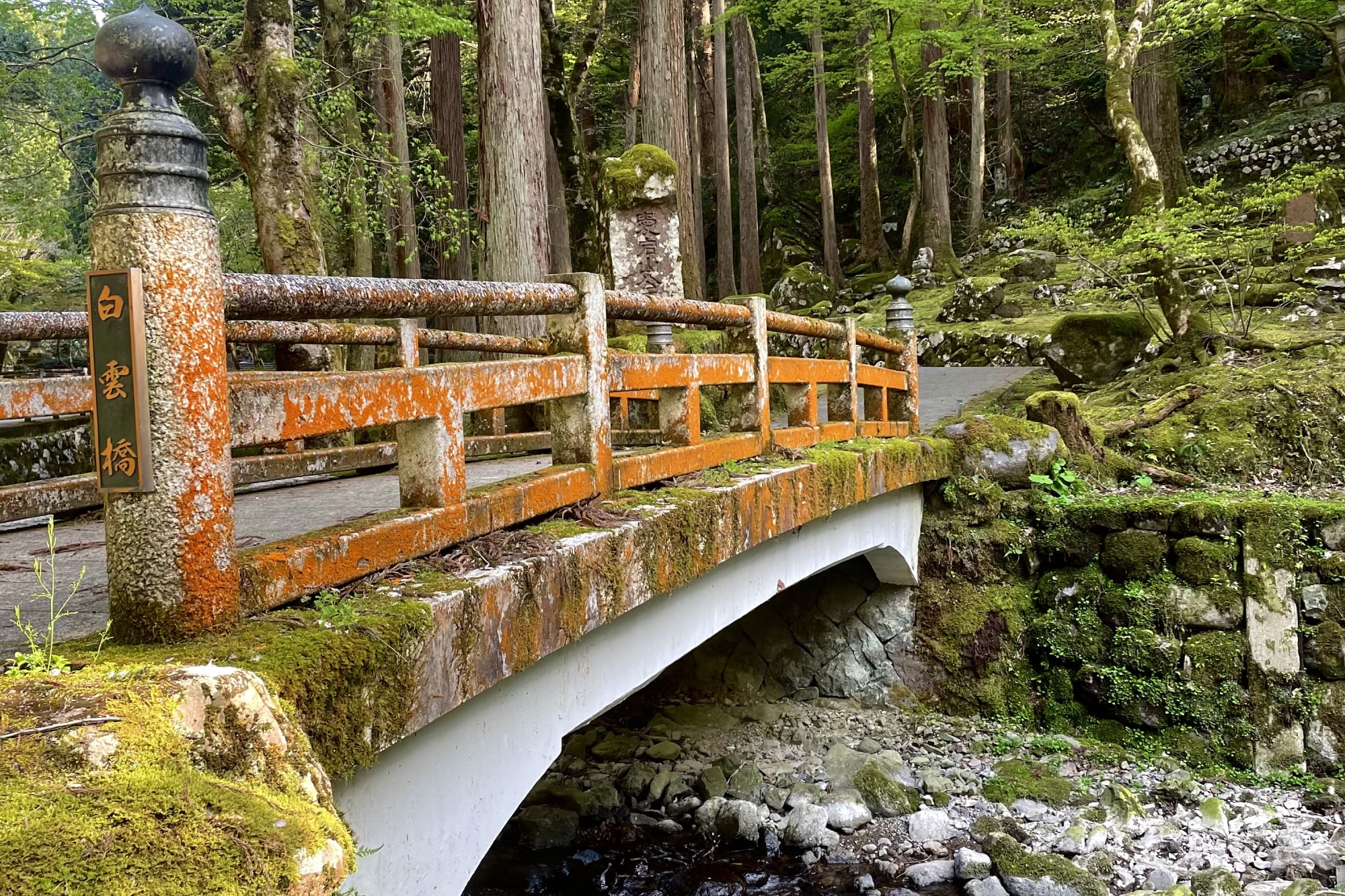 Un llamado trajo un aviso ineludible: era tiempo de volver a Japón.