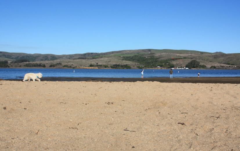 Chicken Ranch Beach entró por primera vez en el ranking de las playas más sucias y se ubicó en el puesto número cuatro