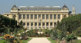 Ordenaron la prisión preventiva para una mujer china por un millonario robo en un museo de París