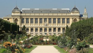 Ordenaron la prisión preventiva para una mujer china por un millonario robo en un museo de París