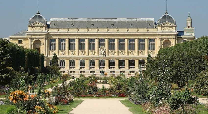 Ordenaron la prisión preventiva para una mujer china por un millonario robo en un museo de París