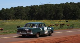 Gran Premio Argentino Histórico: 50 fotos de la competencia de autos añejos por la Mesopotamia